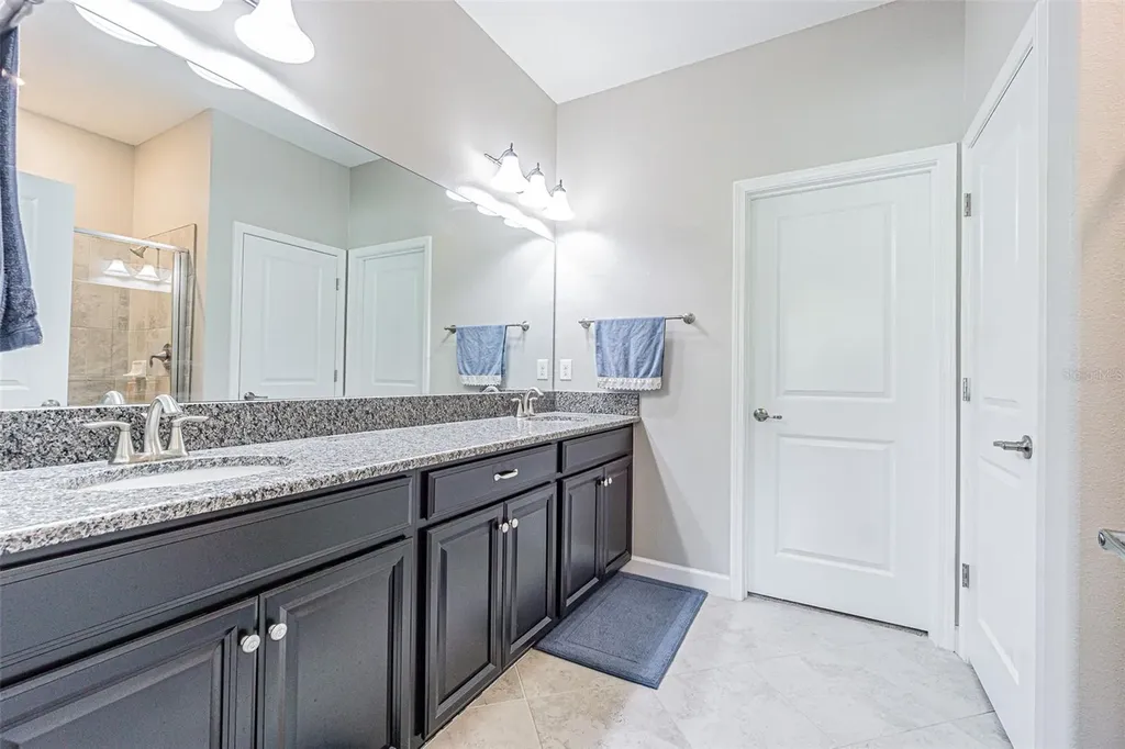 17124 Balance Cove Land O Lakes FL 34638