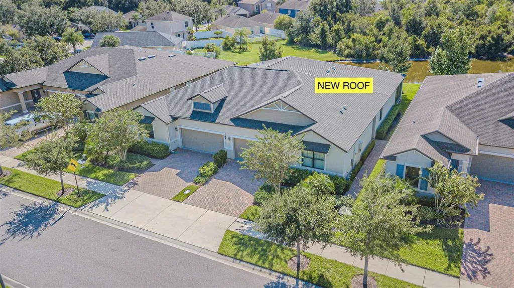17124 Balance Cove Land O Lakes FL 34638