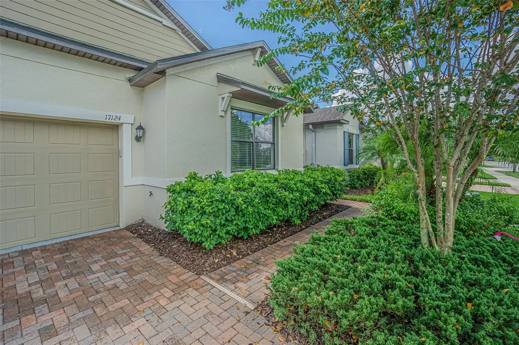 17124 Balance Cove Land O Lakes FL 34638