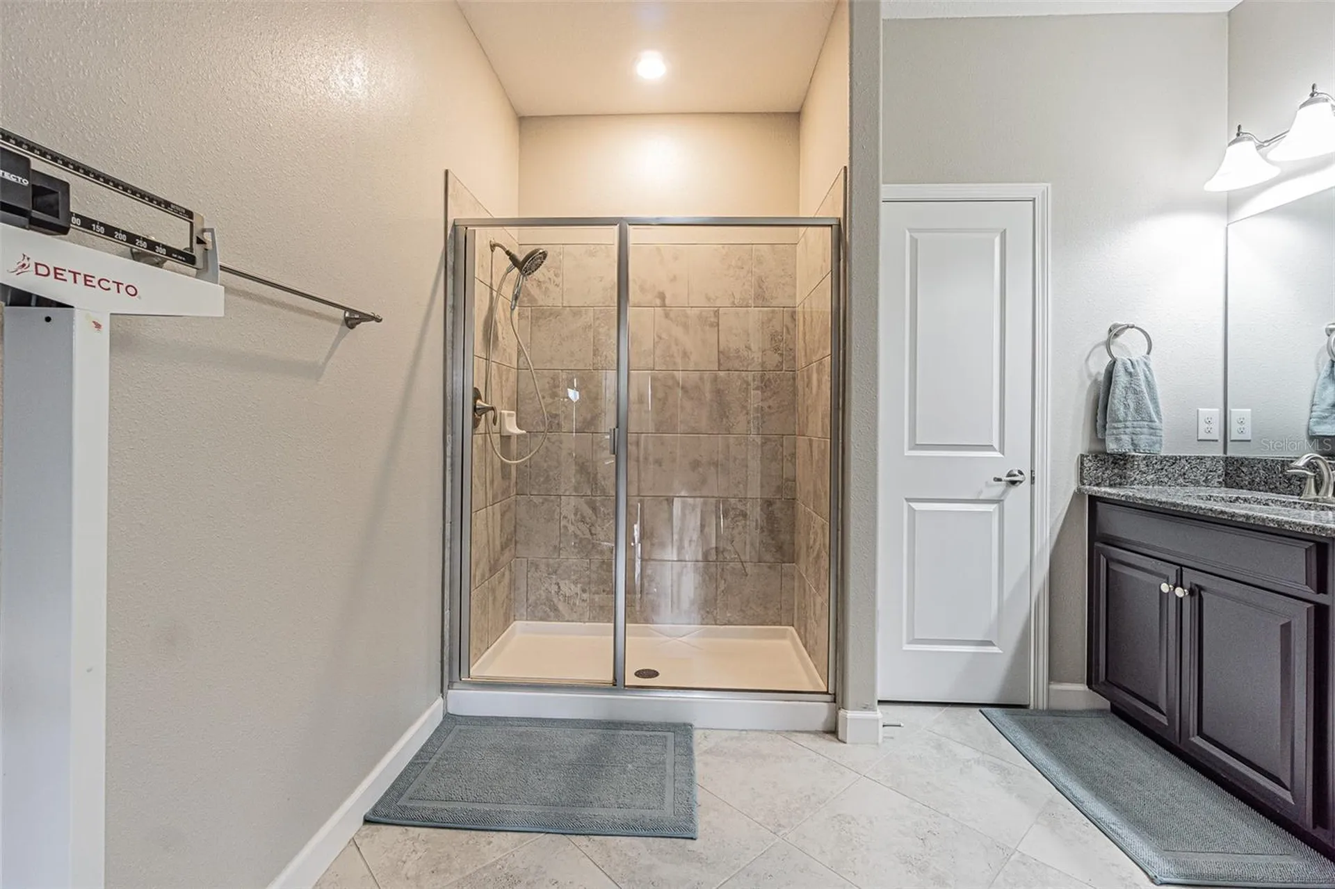 17124 Balance Cove Land O Lakes FL 34638