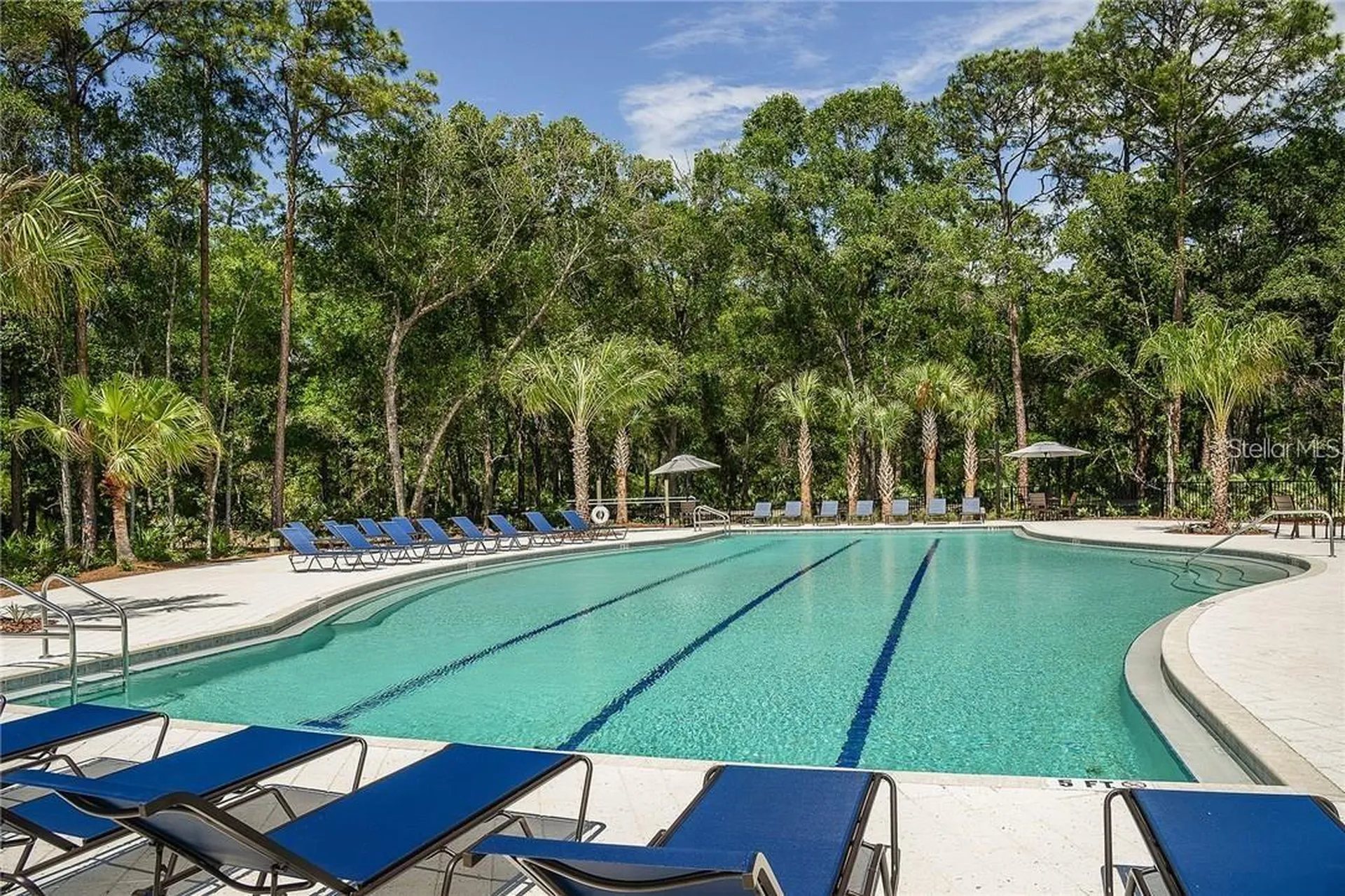 17124 Balance Cove Land O Lakes FL 34638