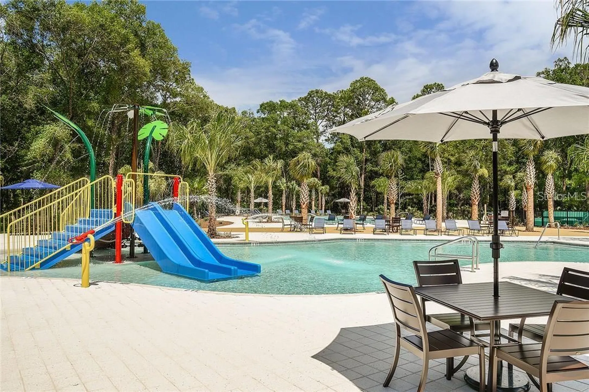17124 Balance Cove Land O Lakes FL 34638