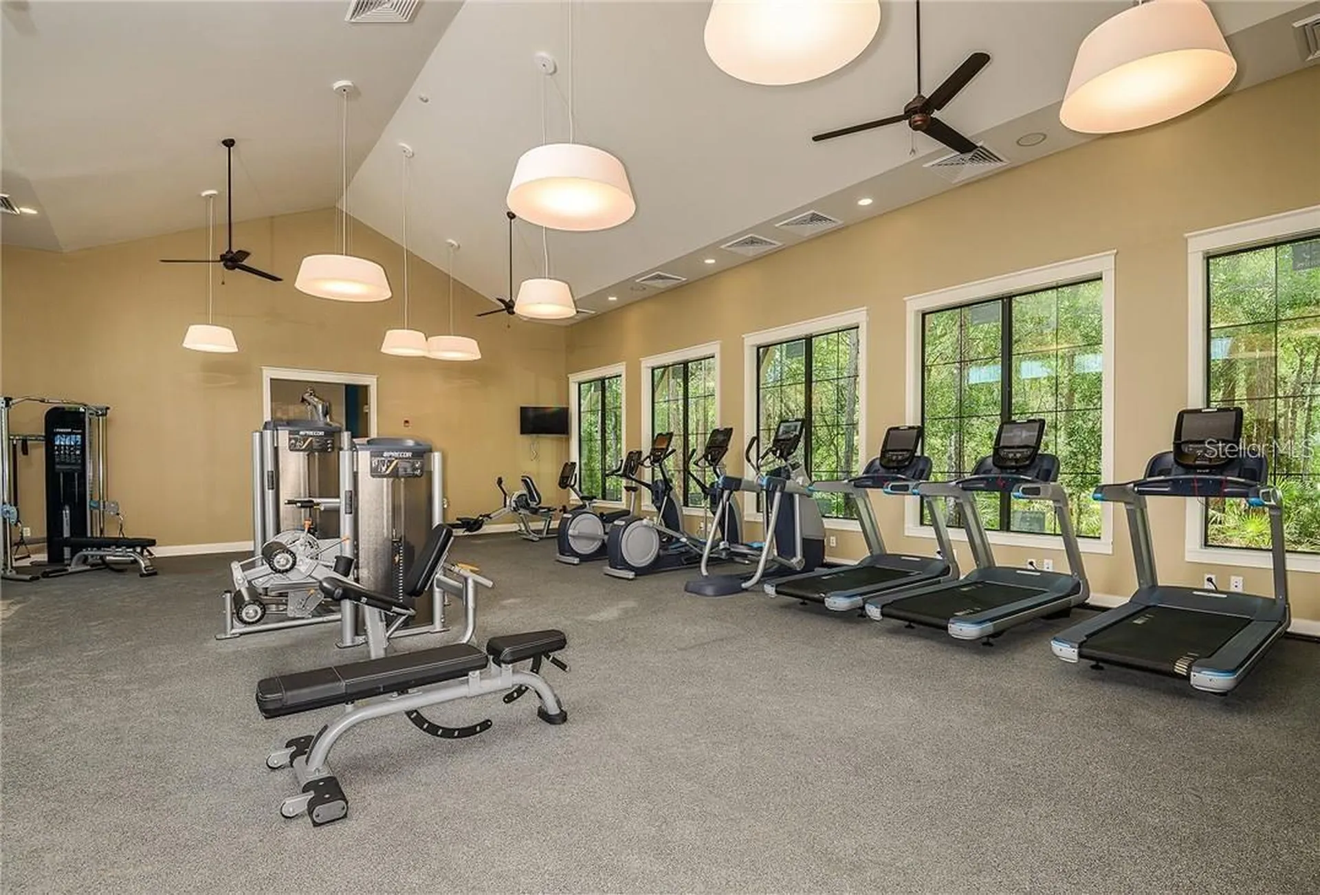 17124 Balance Cove Land O Lakes FL 34638
