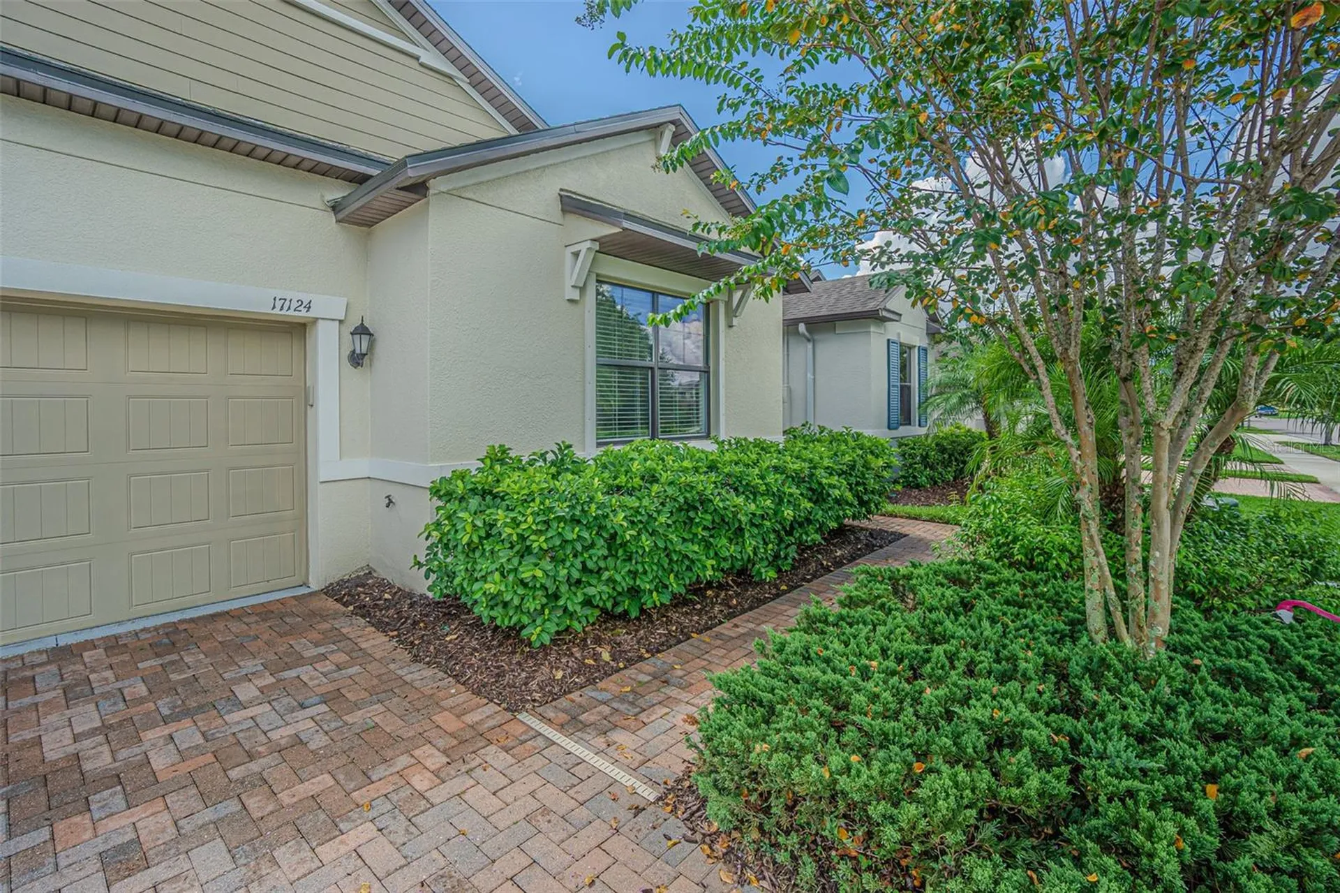 17124 Balance Cove Land O Lakes FL 34638