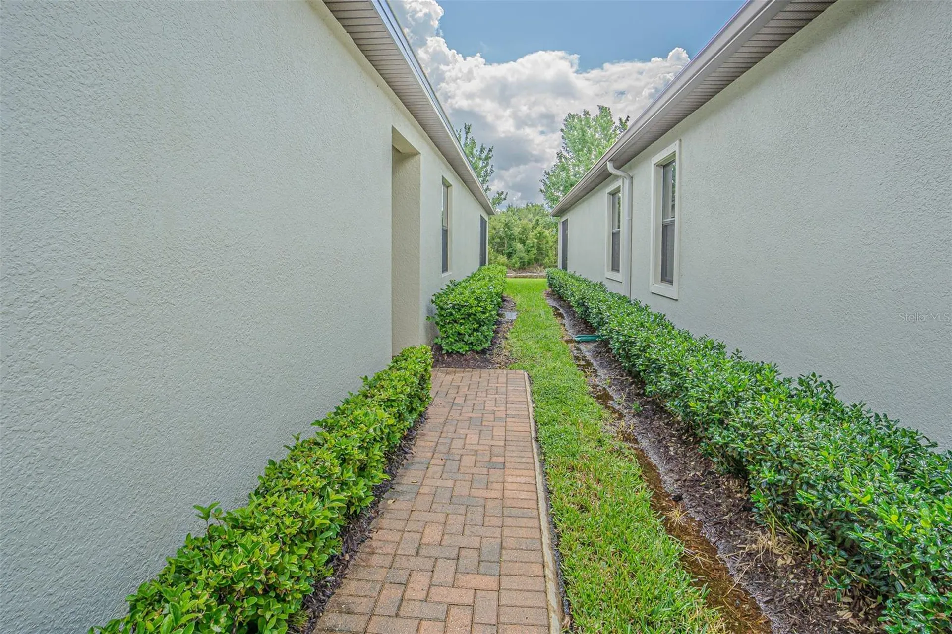 17124 Balance Cove Land O Lakes FL 34638