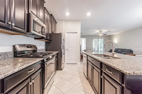 17124 Balance Cove Land O Lakes FL 34638