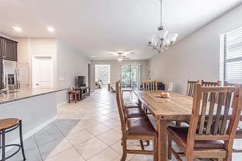 17124 Balance Cove Land O Lakes FL 34638