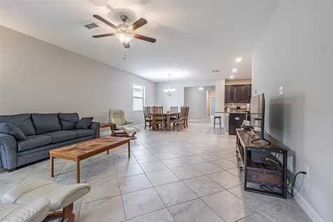 17124 Balance Cove Land O Lakes FL 34638