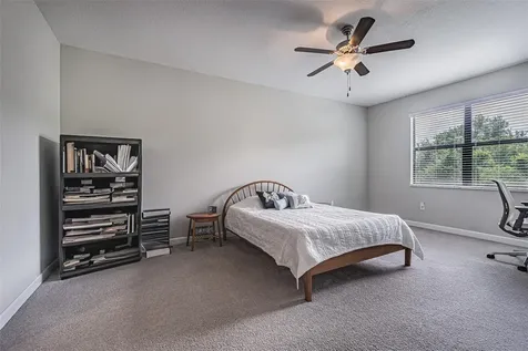 17124 Balance Cove Land O Lakes FL 34638
