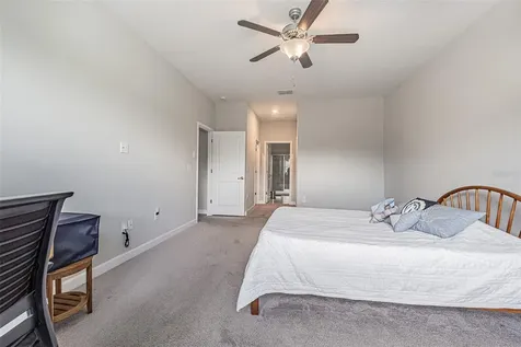 17124 Balance Cove Land O Lakes FL 34638