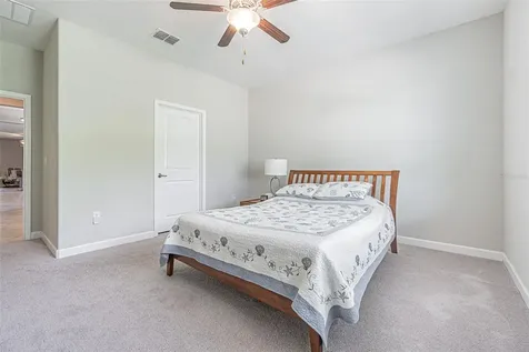 17124 Balance Cove Land O Lakes FL 34638