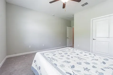 17124 Balance Cove Land O Lakes FL 34638