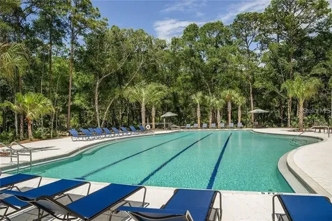 17124 Balance Cove Land O Lakes FL 34638