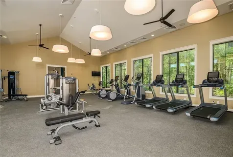 17124 Balance Cove Land O Lakes FL 34638