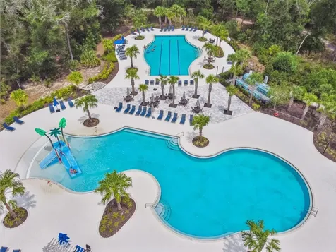 17124 Balance Cove Land O Lakes FL 34638