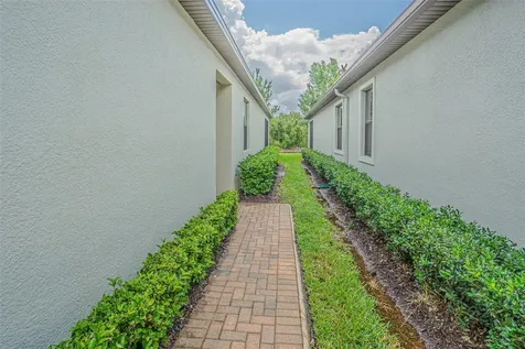 17124 Balance Cove Land O Lakes FL 34638