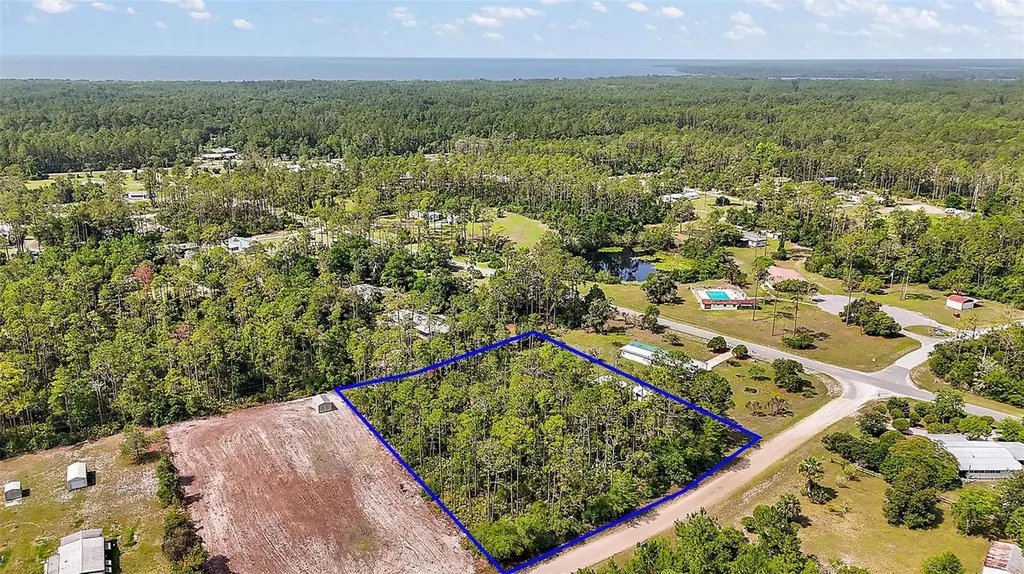 203 Ponderosa Pine Court Georgetown FL 32139