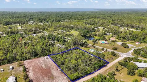 203 Ponderosa Pine Court Georgetown FL 32139