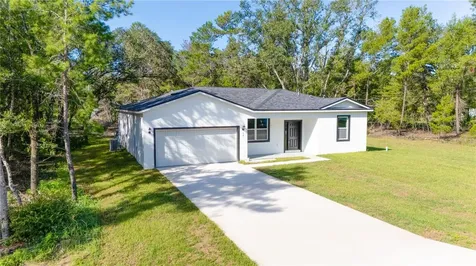 58 Fisher Trace Run Ocklawaha FL 32179