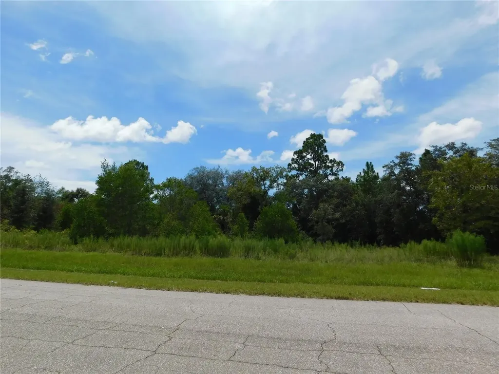 6683 N Bedstrow Boulevard Dunnellon FL 34434