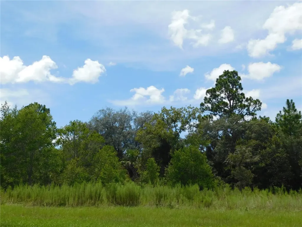6683 N Bedstrow Boulevard Dunnellon FL 34434