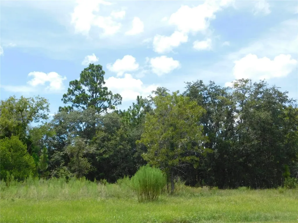 6683 N Bedstrow Boulevard Dunnellon FL 34434