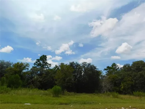 6683 N Bedstrow Boulevard Dunnellon FL 34434