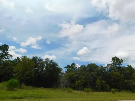 6683 N Bedstrow Boulevard Dunnellon FL 34434