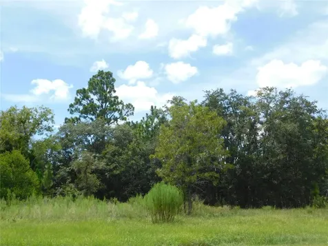 6683 N Bedstrow Boulevard Dunnellon FL 34434