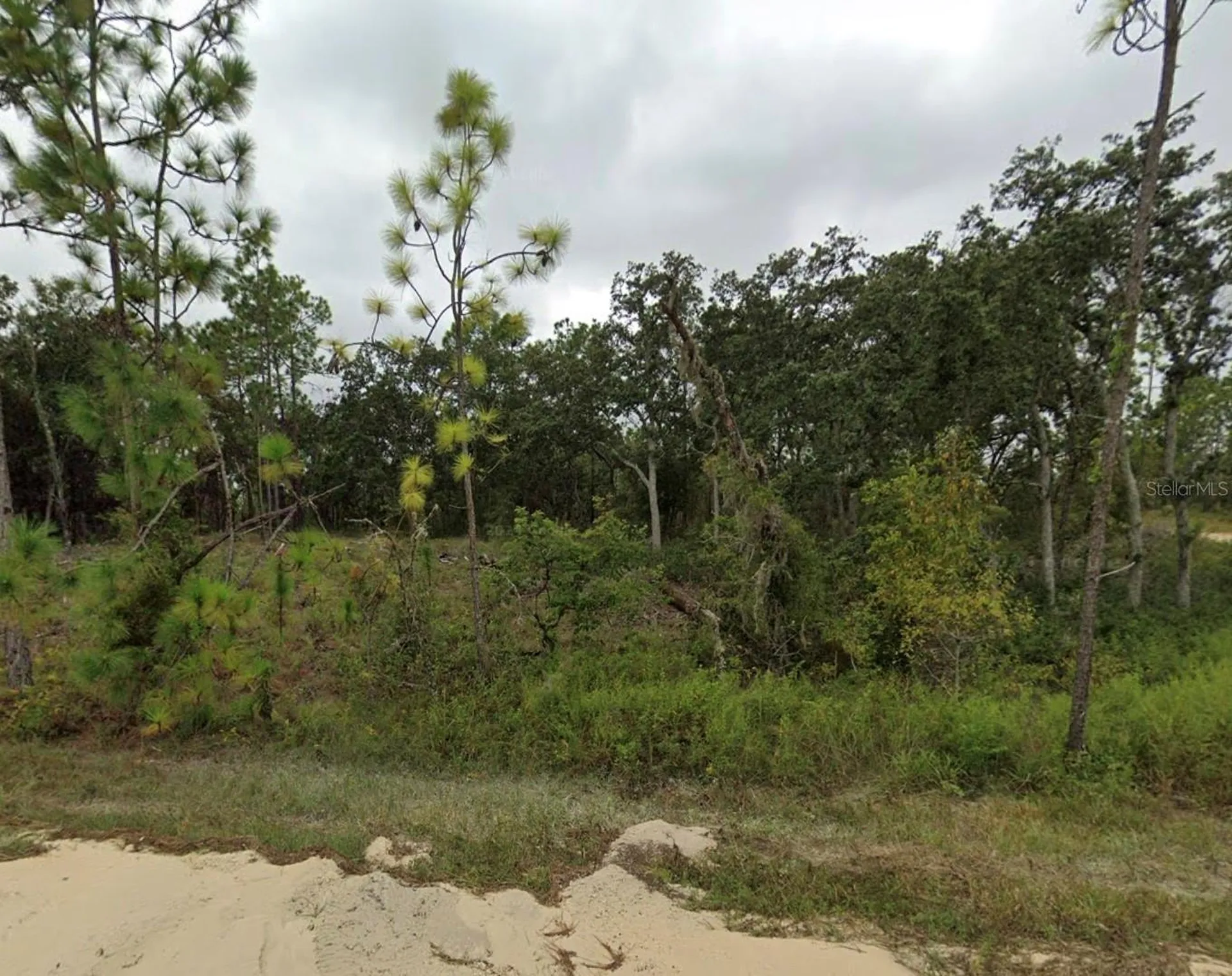 Tbd SE 148 Avenue Williston FL 32696
