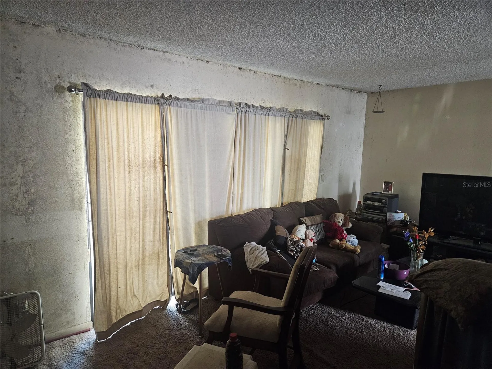 4909 Puritan Circle Tampa FL 33617