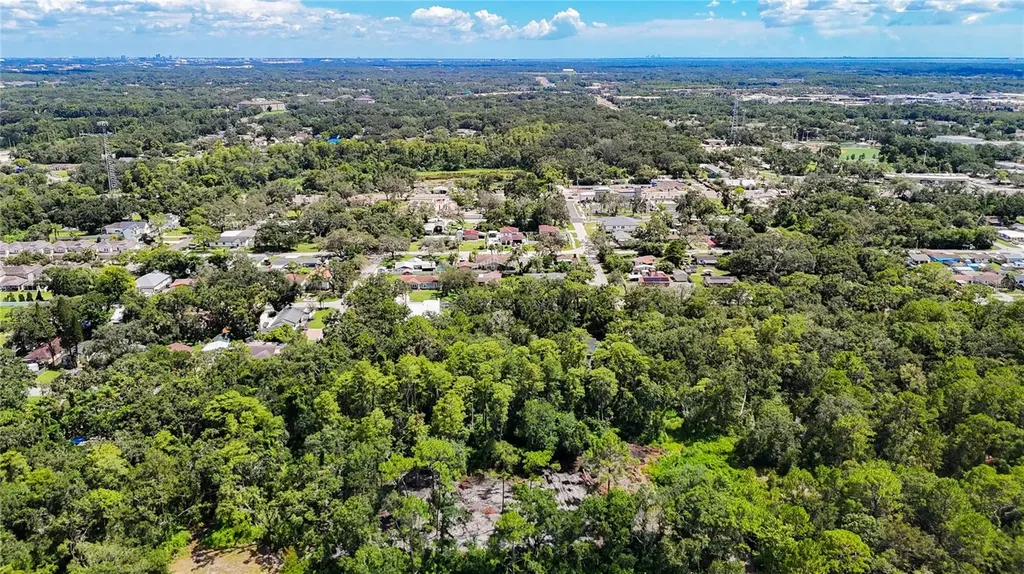 Anno Street Tampa FL 33625