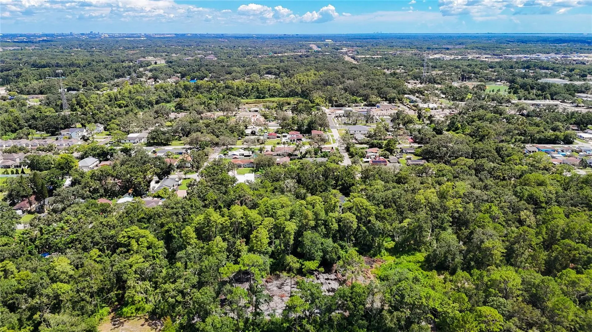 Anno Street Tampa FL 33625