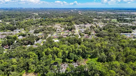 Anno Street Tampa FL 33625