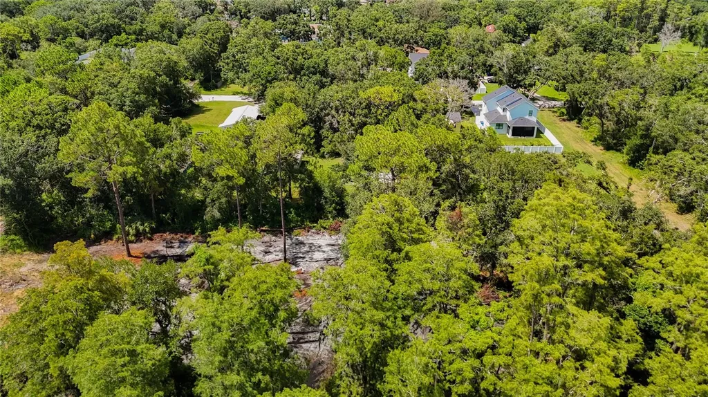 Anno Street Tampa FL 33625