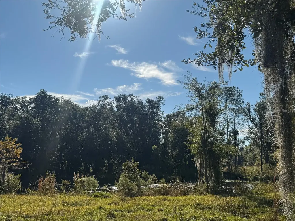 5812 N Dormany Road Plant City FL 33565