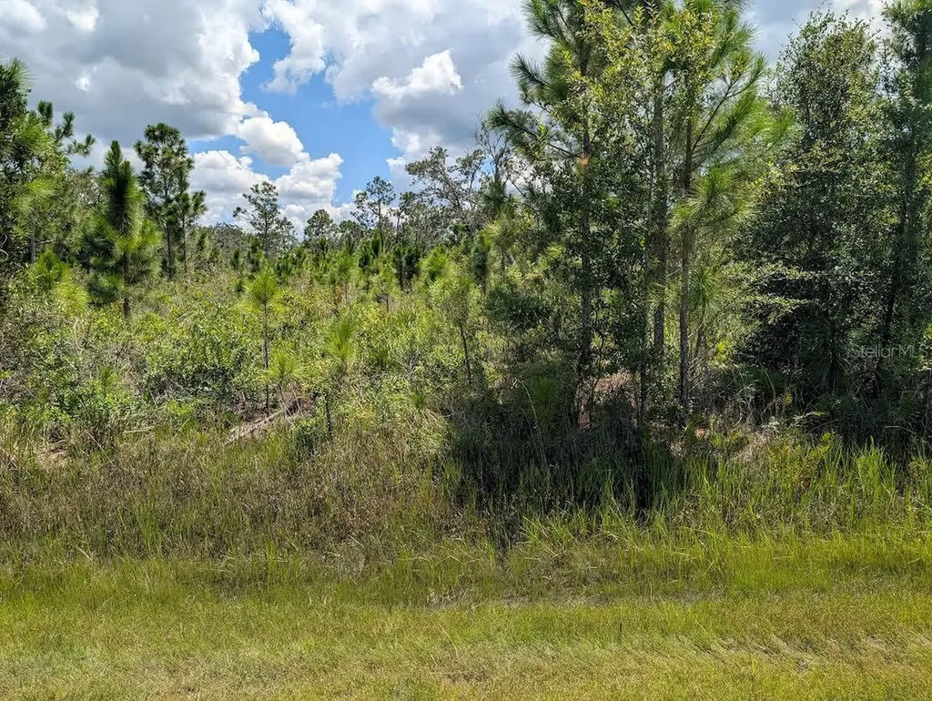311 Hibiscus Drive Indian Lake Estates FL 33855