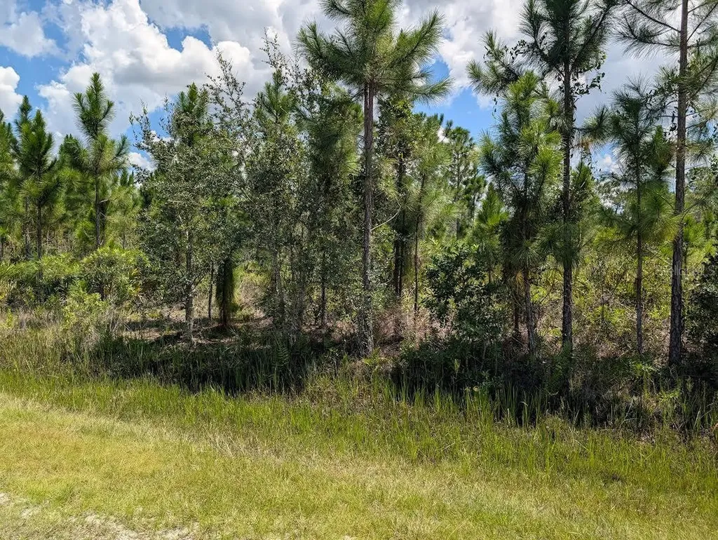 311 Hibiscus Drive Indian Lake Estates FL 33855