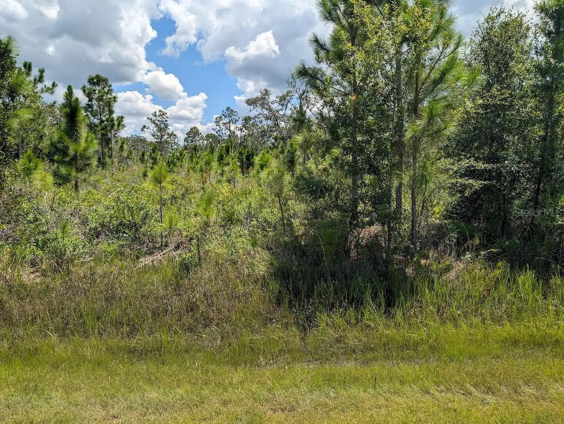 311 Hibiscus Drive Indian Lake Estates FL 33855