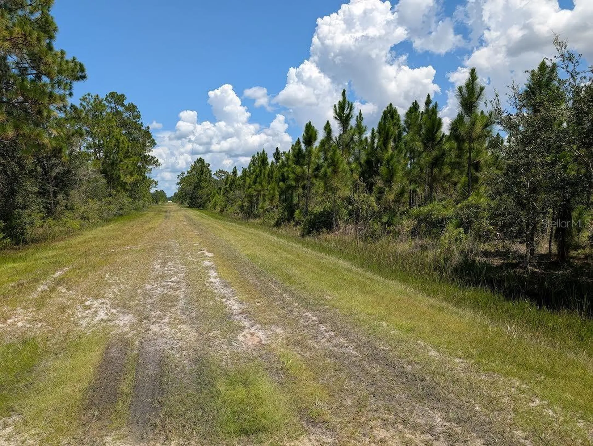 311 Hibiscus Drive Indian Lake Estates FL 33855