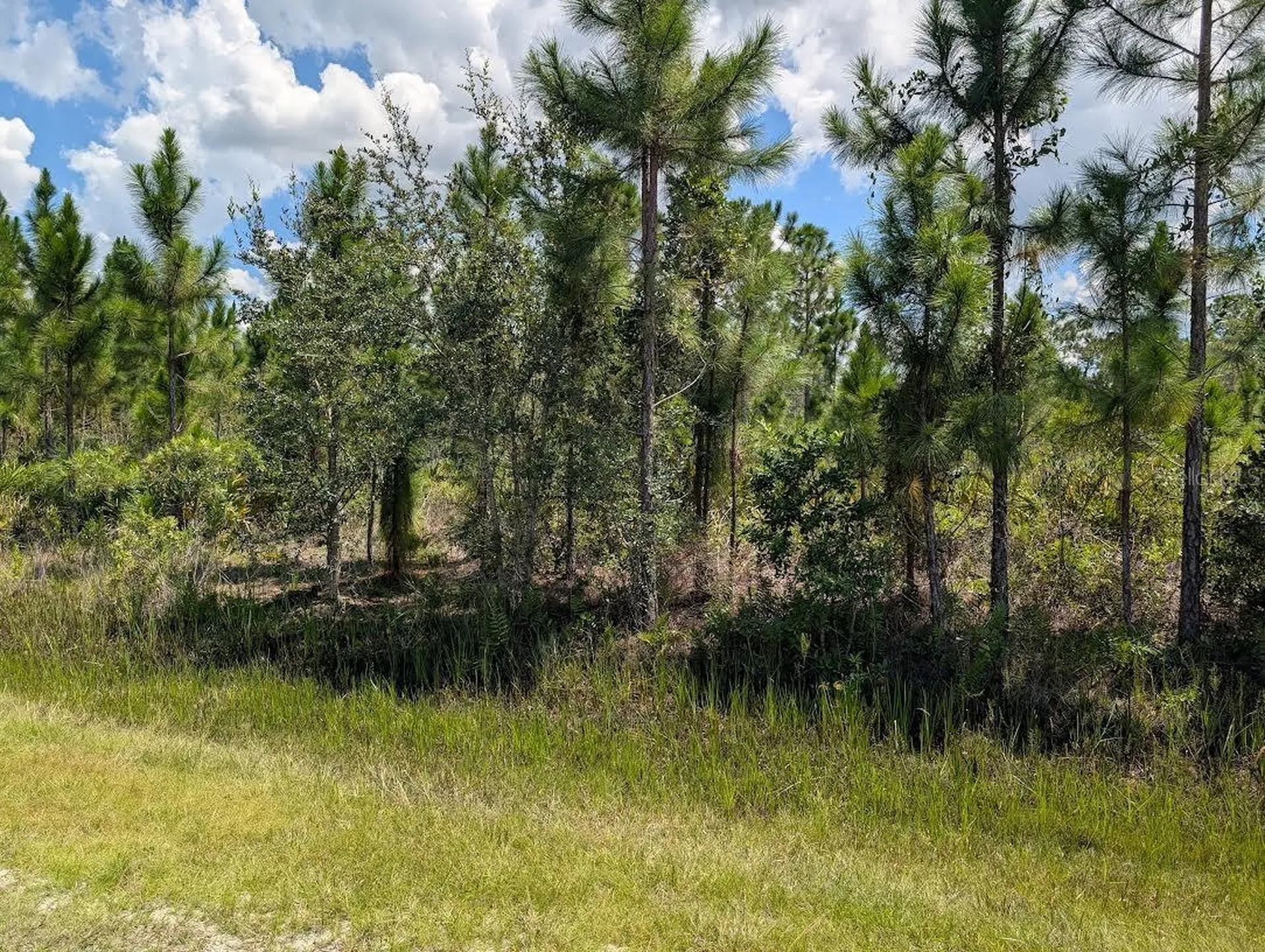 311 Hibiscus Drive Indian Lake Estates FL 33855
