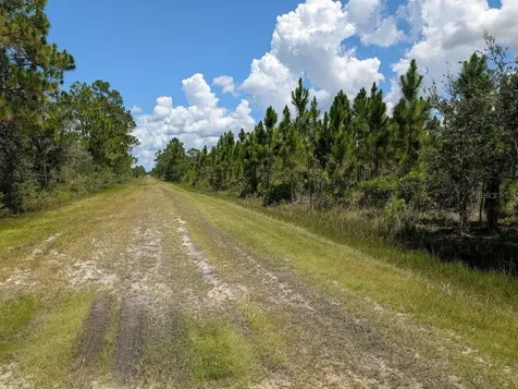 311 Hibiscus Drive Indian Lake Estates FL 33855