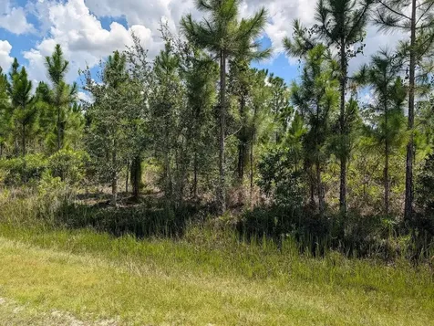 311 Hibiscus Drive Indian Lake Estates FL 33855