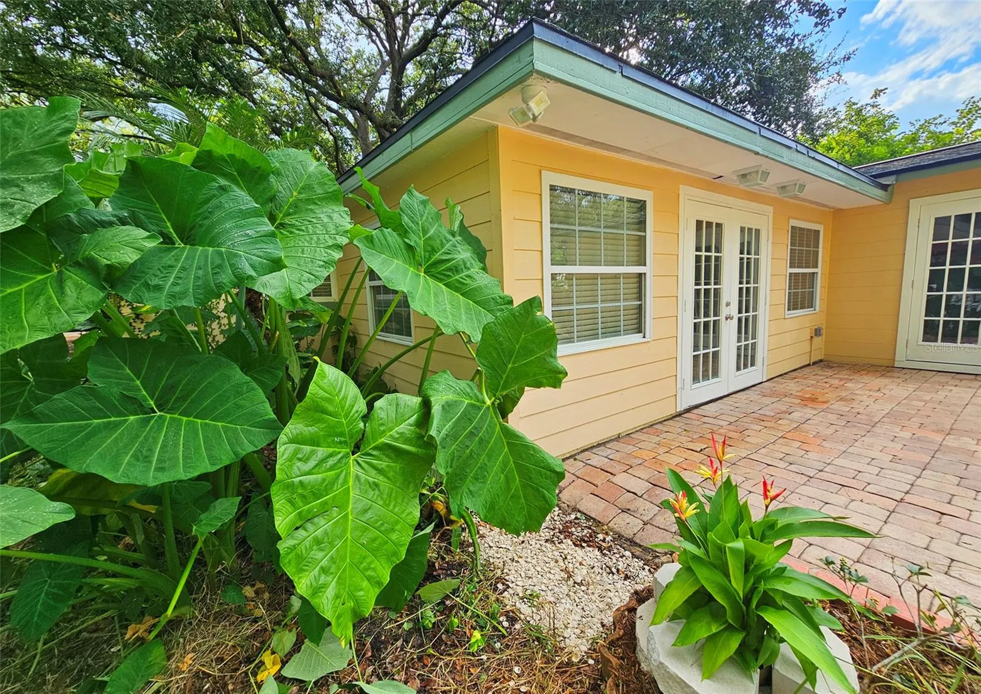 3073 Duane Avenue Oldsmar FL 34677