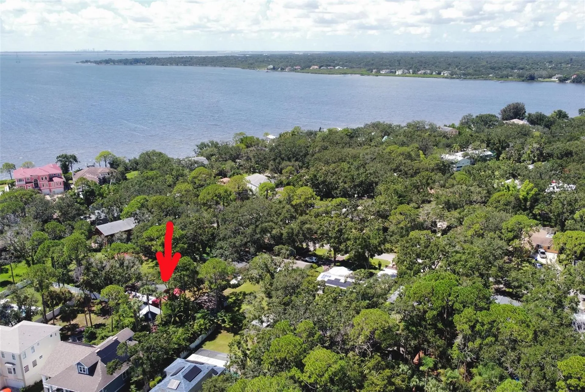 3073 Duane Avenue Oldsmar FL 34677