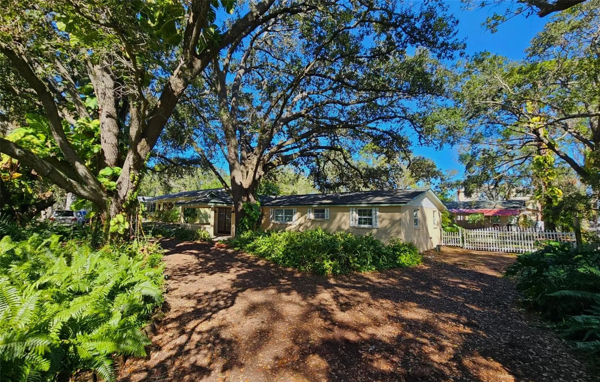 3073 Duane Avenue Oldsmar FL 34677