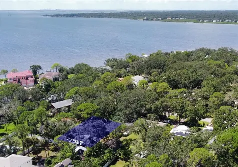 3073 Duane Avenue Oldsmar FL 34677