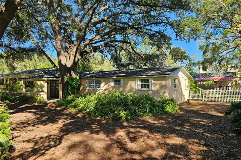 3073 Duane Avenue Oldsmar FL 34677