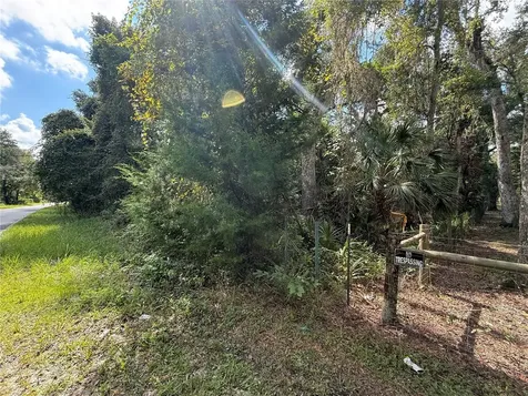 1324 NE 239 Avenue Old Town FL 32680