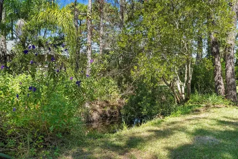 3061 Pinelock Drive Deland FL 32724